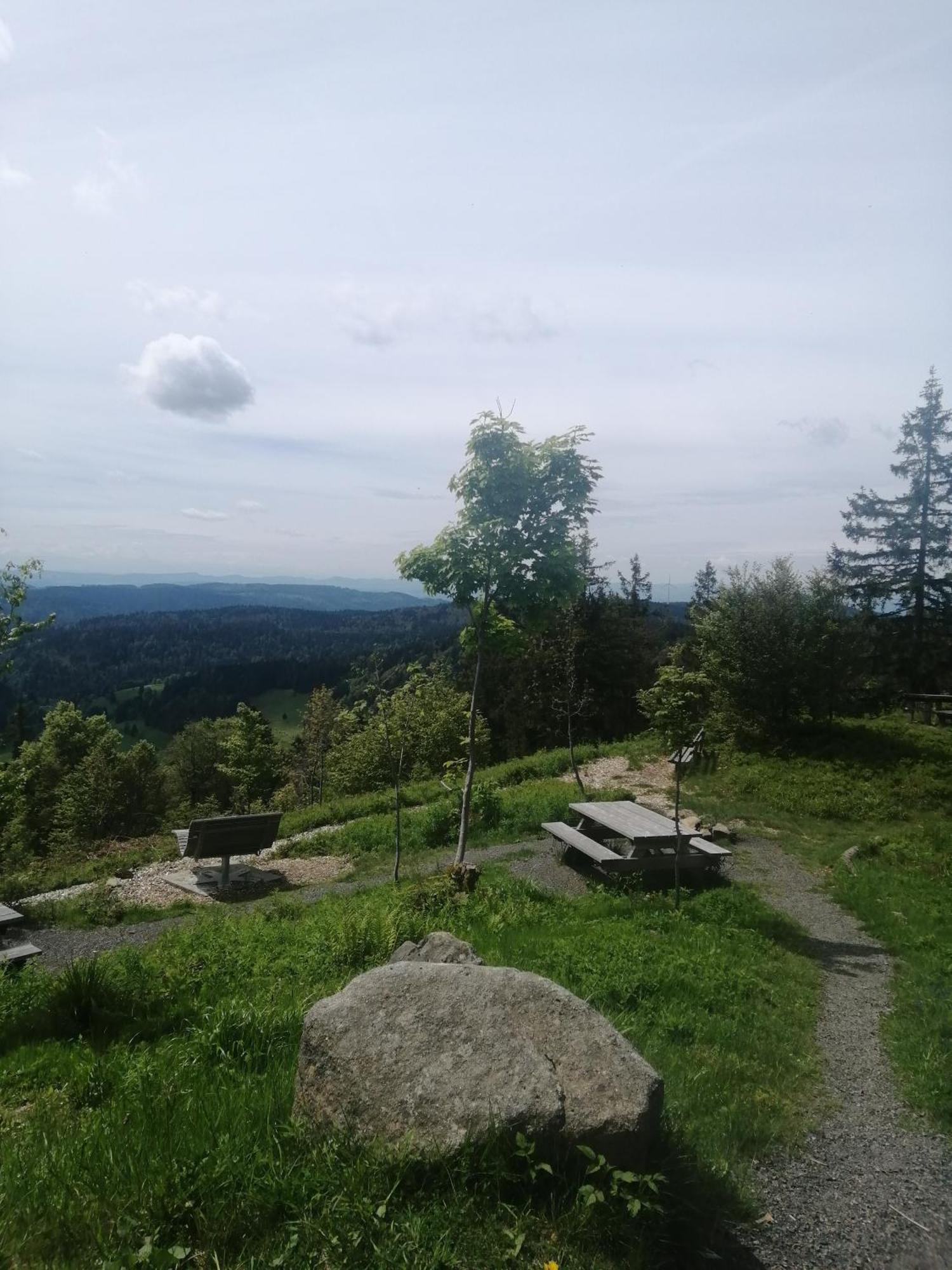 Am Kurpark Guest house