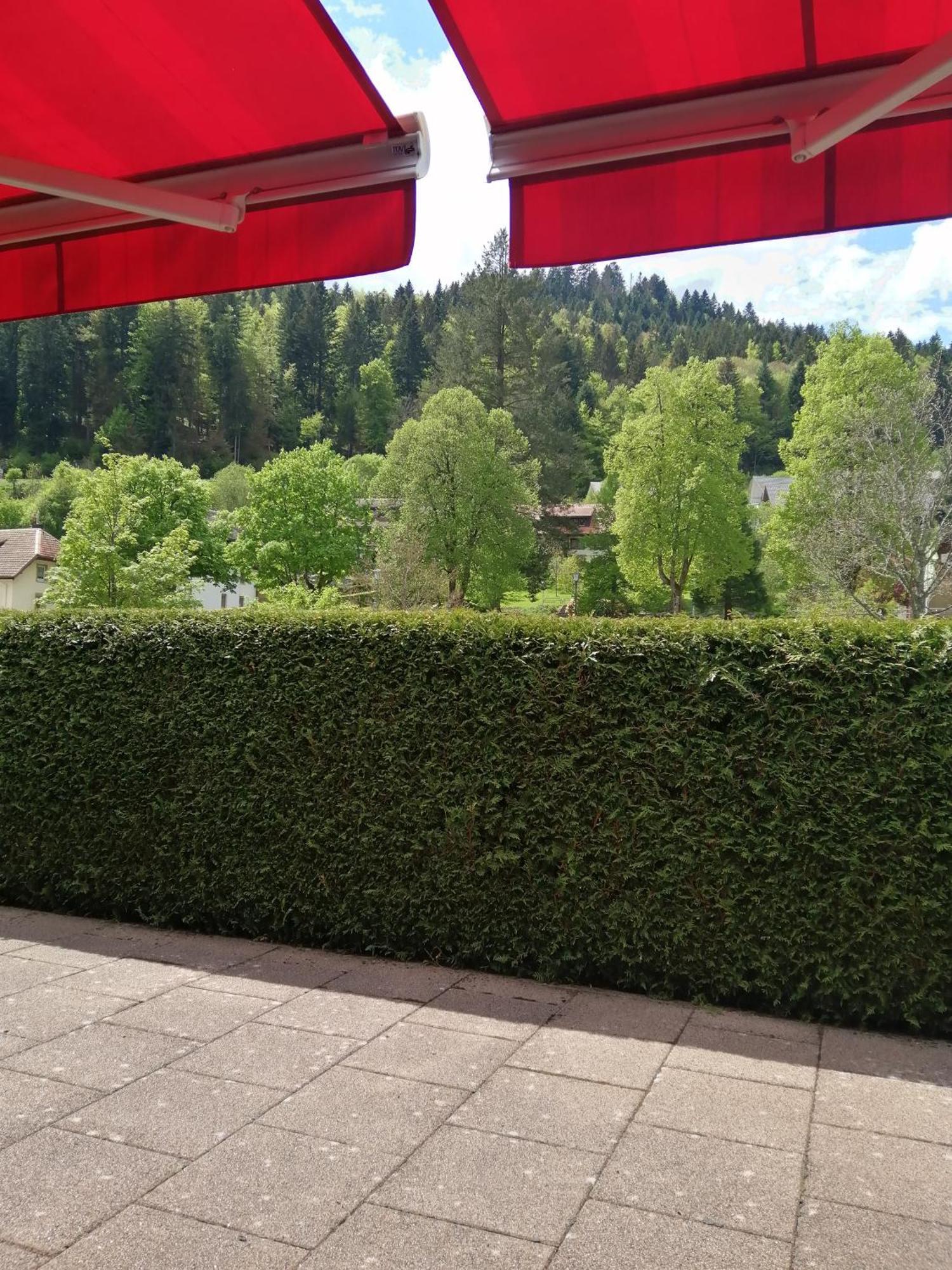 Guest house Am Kurpark