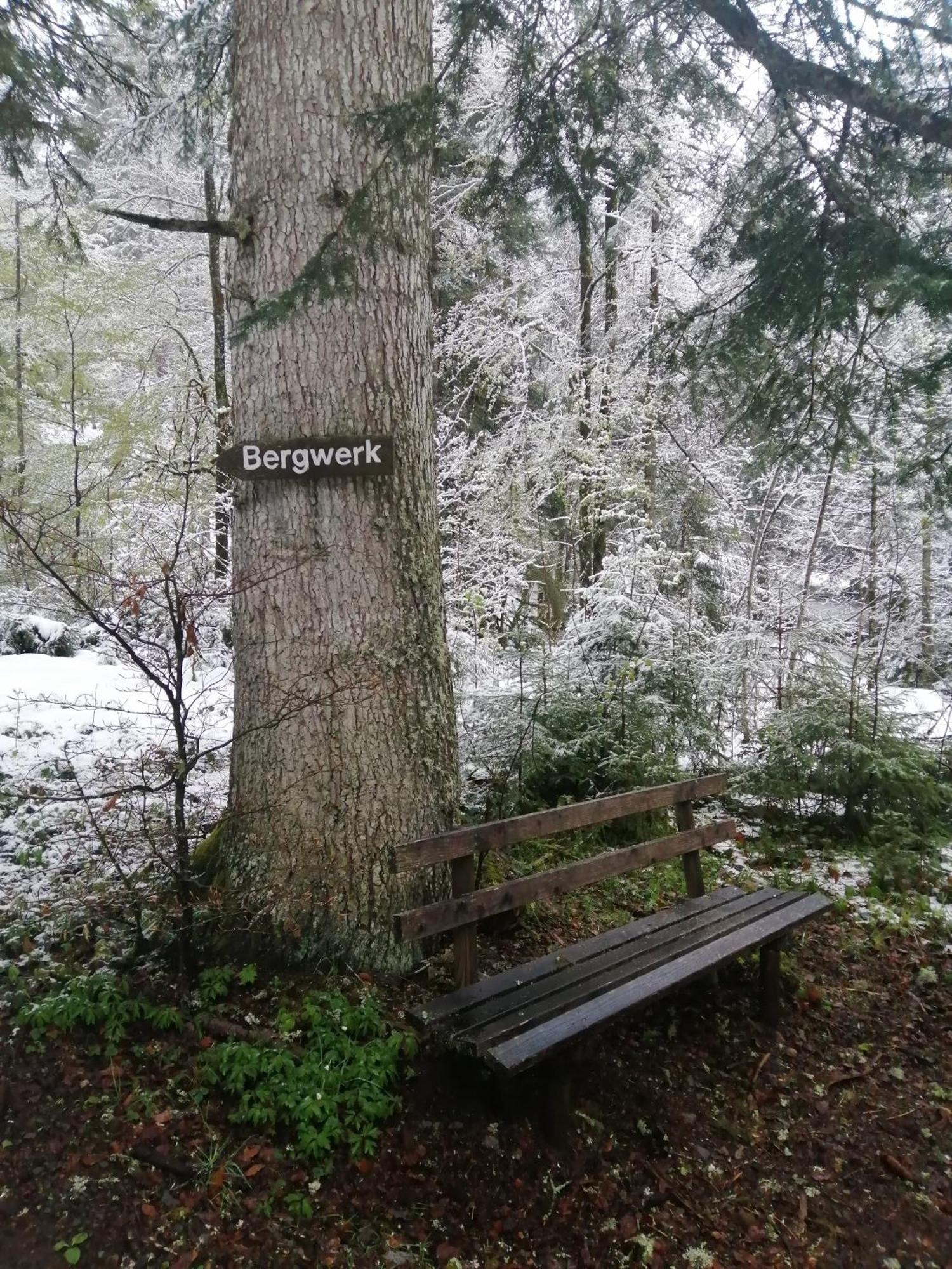 Am Kurpark Todtmoos